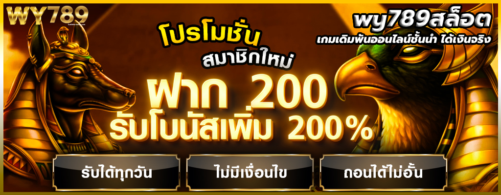 wy789สล็อต